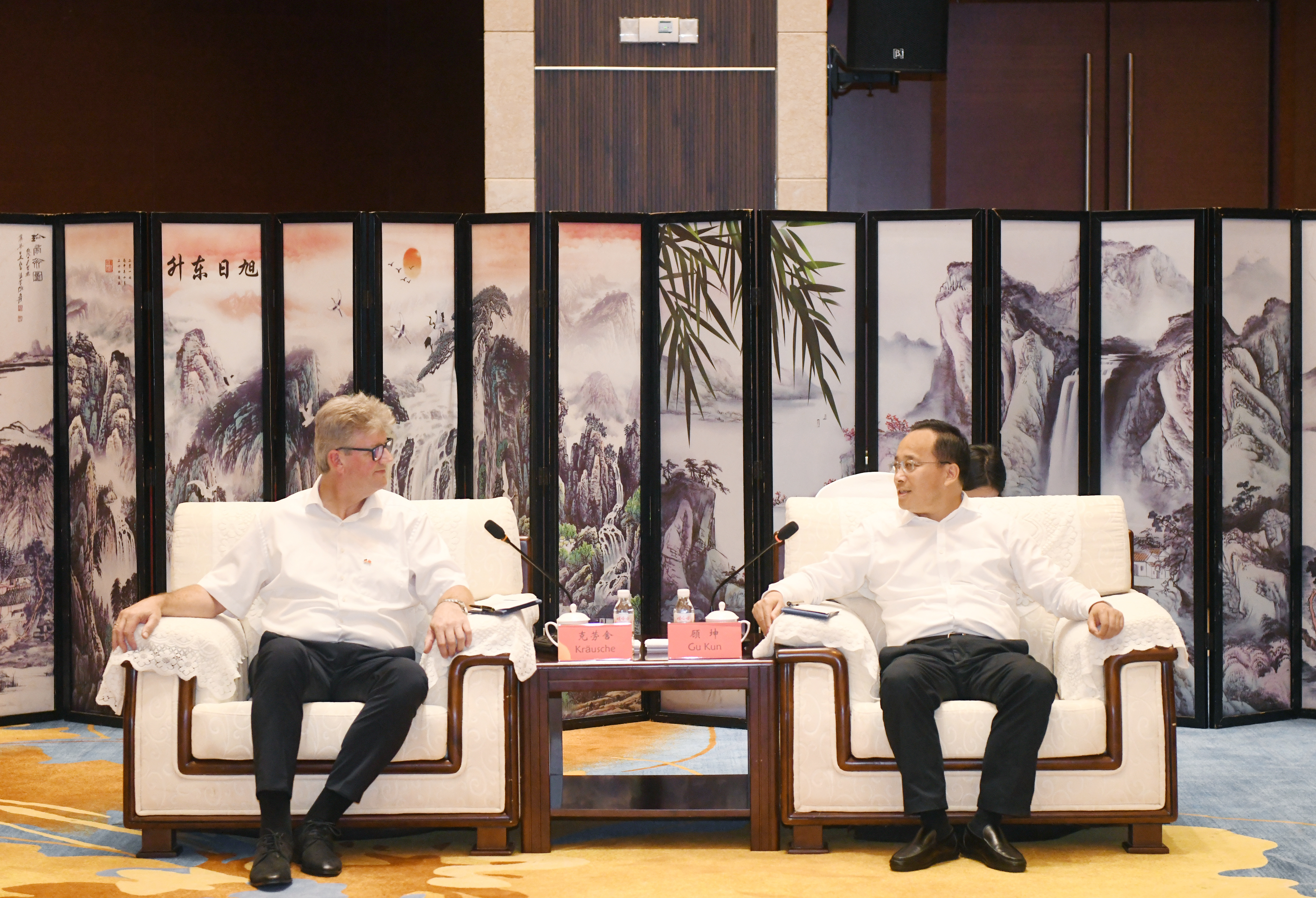 顾坤会见德国萨斯尼兹市代表团